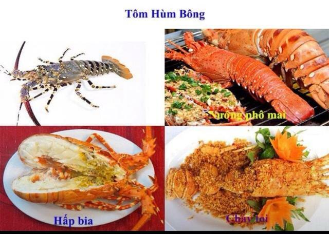 Khach San Thu Linh Hotel Thanh Hóa Buitenkant foto