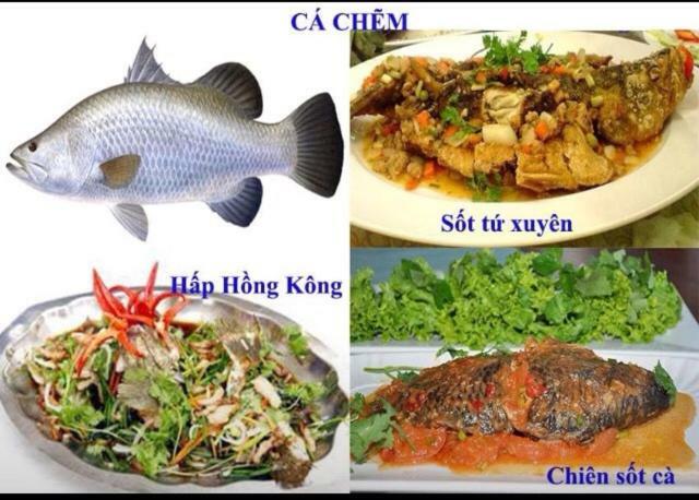 Khach San Thu Linh Hotel Thanh Hóa Buitenkant foto